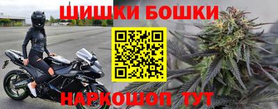 прущие грибы Канаш